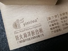 Project