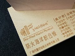 Project